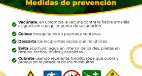 Medidas de prevención fiebre amarilla